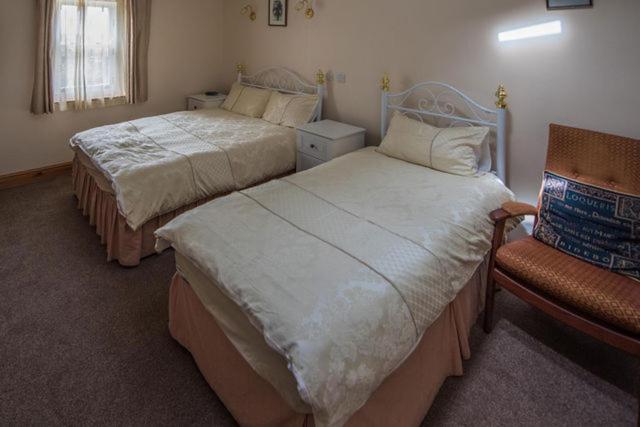 Glendower B&B Saint David's Extérieur photo